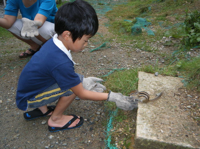 リスにえさをあげます。