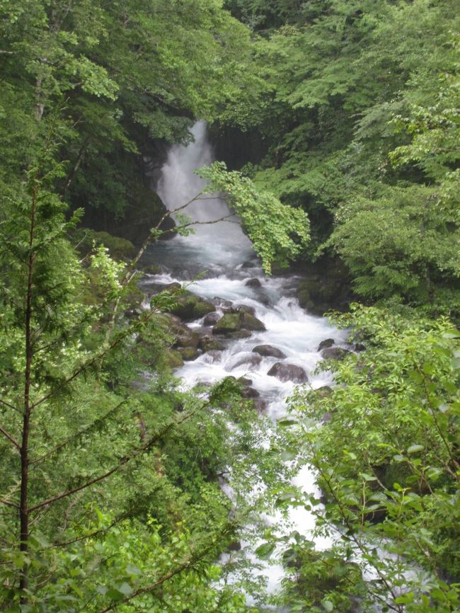 カモシカコースの最後には布引の滝が見られますが、ずっと、小雨状態で我慢してくれていた天気がこの時には土砂降りになり、せっかくのこの美しい滝がはっきり見えませんでした。