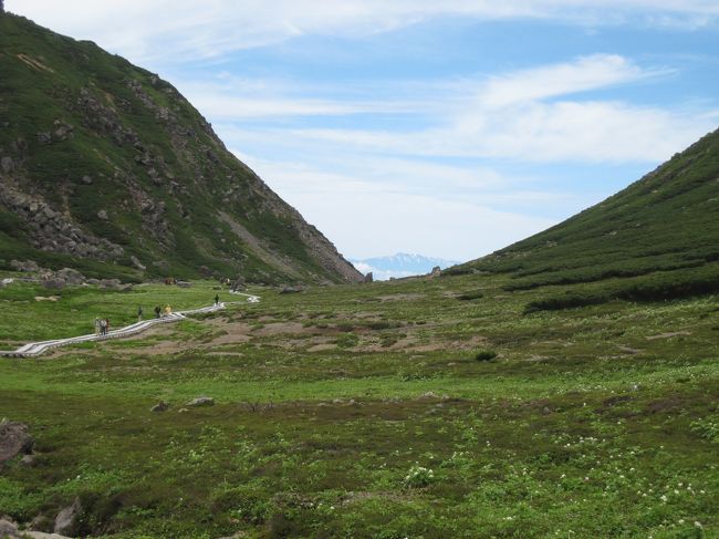 お花畑の向こうには白山も見えました。バスの運転手さんによれば、１２年間運転して畳平に来ているが、白山がこんなに綺麗に見えたのは２回目だそうです。何てラッキーな私達！！