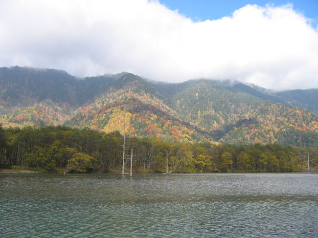 　紅葉キレイやなあ。