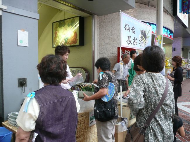 仙台名物のひとつ、仙台長茄子<br />皮がやわらかいの！<br />キュウリ１本まるまる浅漬けしたものに<br />串をさして売っていました。<br />暑い日は、塩気が必要ですからね。