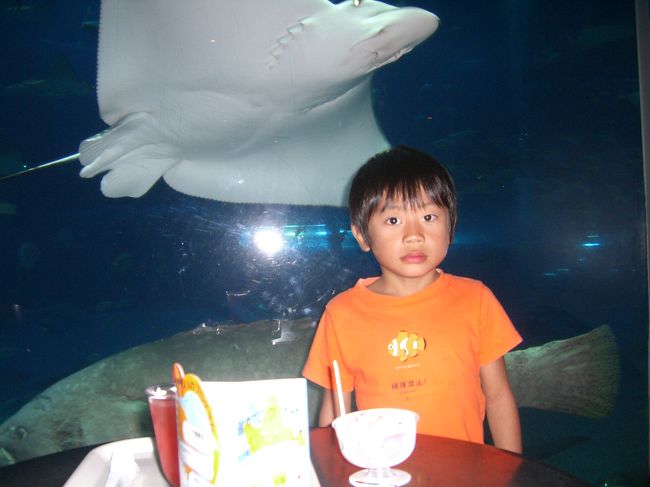 ホテルにて割引チケットを買っていたのでそのまま入場できます。<br />当日買う人は売り場に列ができてました。<br /><br />中に入ると、急いで黒潮探検の予約へ。<br />10時半で予約が取れました。<br /><br />それまで、黒潮の海のカフェにて休憩です。<br /><br />