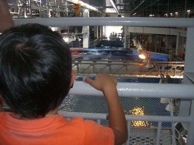 黒潮の海の上はこんな風になっています。<br /><br />見にくいですが魚は奥のクレーンで運ばれるそうです。