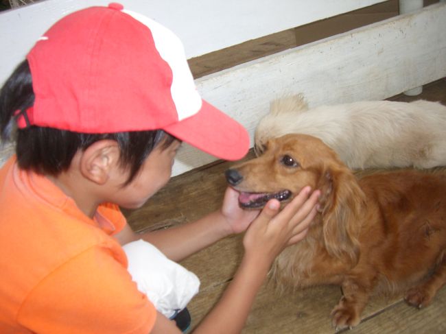 奥に進むと動物と触れ合うコーナーがありました。<br />以前は、ヤギなどにえさを買って、あげるコーナーでした。<br /><br />ここは別料金ですが、ゾウガメにも乗れるし、犬と散歩もできます。<br />200円でしたが、JALクーポンを使うと半額になるようです。