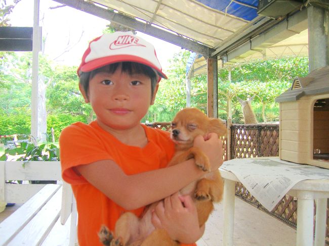 子供に抱っこされて、気持ちよさそうです。