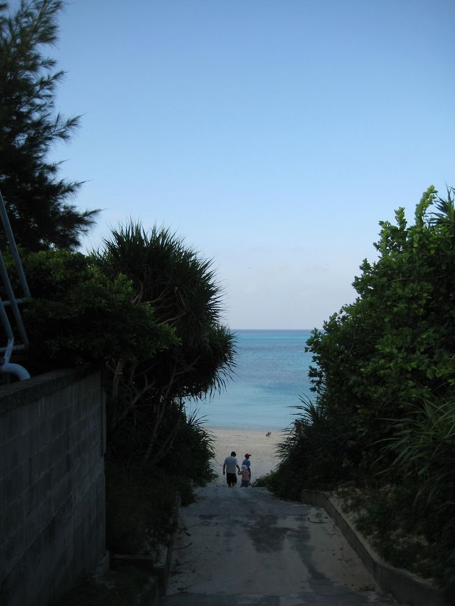 朝の散歩☆<br />