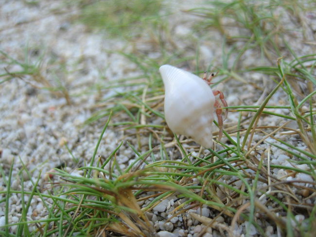 私が近くで撮ろうとするから、必死で逃げていました。笑<br />