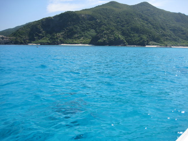 海のなかにはたくさんのかわいい魚が(≧∀≦)ノ