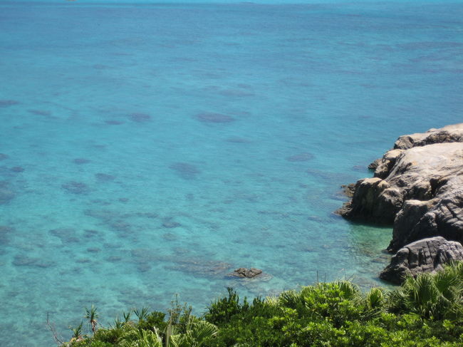 ず〜っと見ていてもあきないですね。