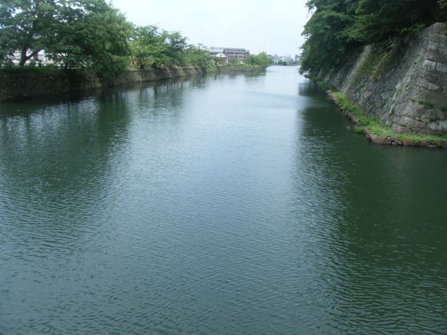 お堀です。とてもきれい☆