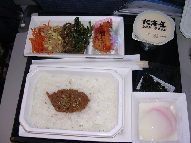 まずは、お約束の機内食から。<br />今回のアシは成田〜北京とも往復ANAです。<br />機種は767-300ERで、アジア方面ANAでは、もっともオーソドックスな機体ですね。でもエコノミーも全席オンデマンドビデオ付きです。<br />行きの食事は、北京行きなのになぜか韓国料理！？。<br />ビビンバとジャージャー麺の2種類から選択で、ワタクシはジャージャー麺が食べたかったのですが、残念ながら売り切れで、ビビンバを選択。<br />半熟卵を載せて、まぜまぜして食べるのですが結構美味！。デザートに北海道プリンがついてました。<br />