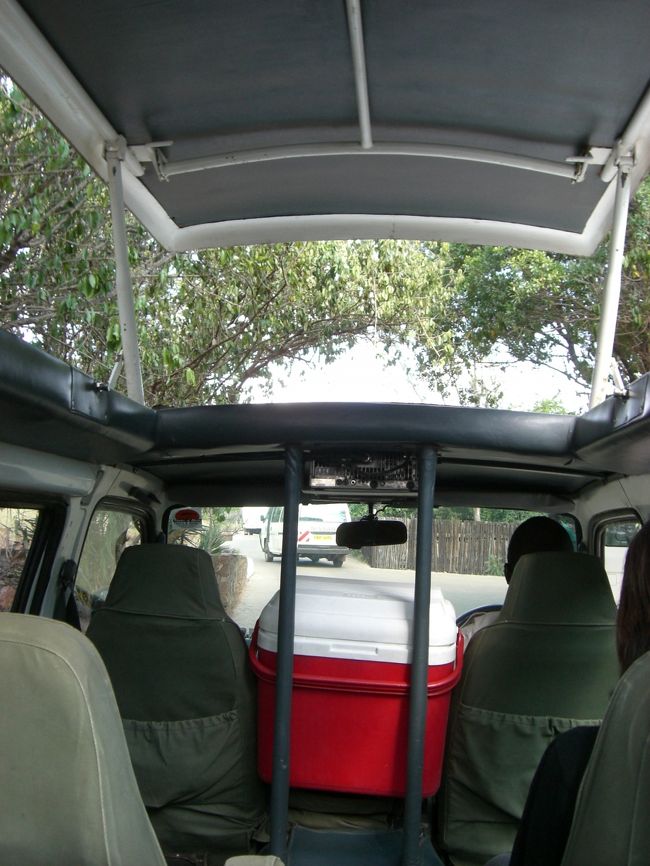 車の天井も開けて、<br />サファリへゴー！！！！