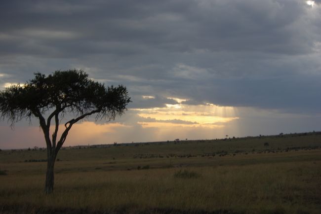 夕日がめっちゃキレイだったんですけど、<br />みなさんのようにステキな写真にする腕は<br />まだまだあらず。