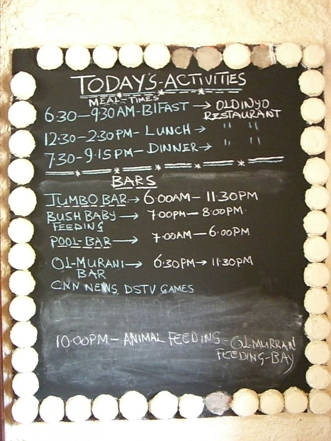 ホテルのアクティビティーで、<br />ブッシュベイビーとハイエナの餌付けをやってます。