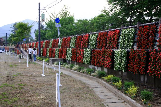 花のナイアガラが出来ていました。<br />赤・白・ピンクのベゴニアの花が綺麗に飾られていました。