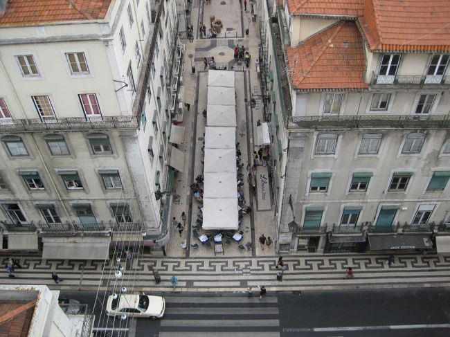 一休みです。ここからがさらに面白くなるので数枚写真でおくつろぎください。