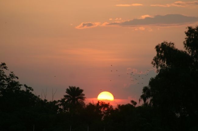 屋上からの眺め