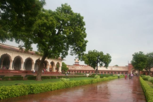 雨がようやく上がりました。