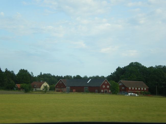 どこまでも続く牧草地