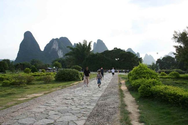 高田郷の大榕樹<br /><br />カジュマルの木は<br />幸福をもたらす精霊が宿っている木<br />とも言われますね。<br /><br />この大榕樹は、近くで見ると<br />木の枝から、根っこのようなものが幾つもいくつも<br />地中に伸びていました。<br />こうしてこの大木を支えているでしょう。<br />