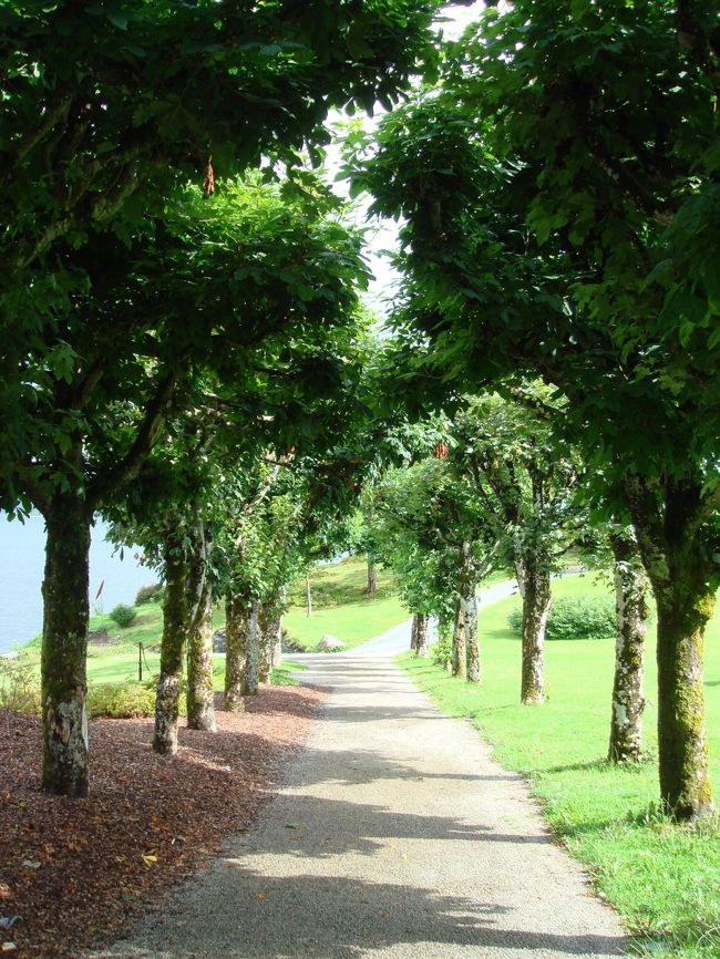 緑のトンネルをくぐって･･･