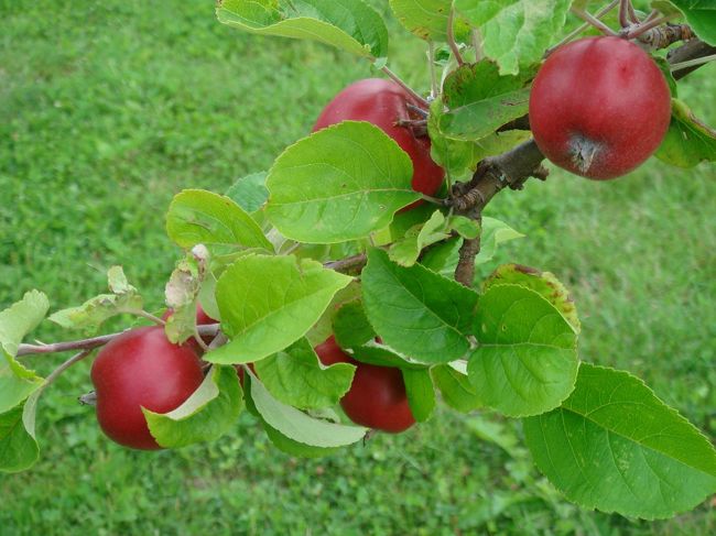 アップで･･･