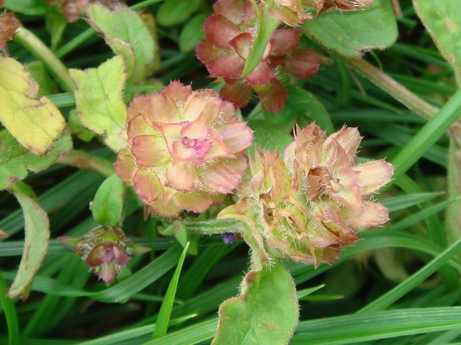 う〜ん、なんかありそうな気配＾＾*