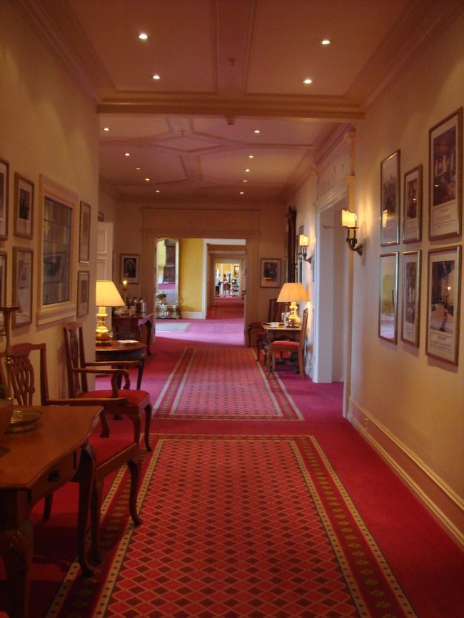 お散歩を終えたippuni夫婦はこの日の夕食のテーブルを予約すべくホテルのレストランに向かいます。