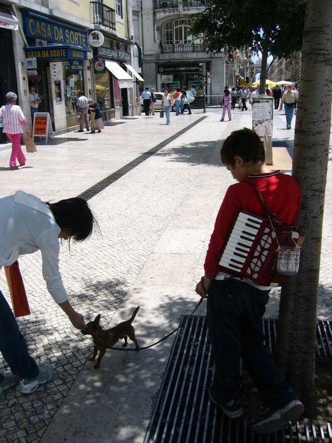 この子のアコーディオンに乗せて犬が踊るのかと期待しましたが。。。<br />全く関係なかった。。。