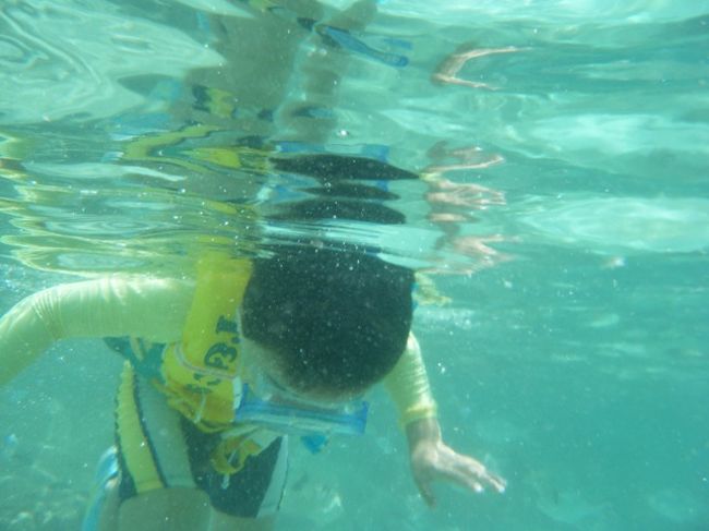 Laurel(弟)も、必死で海を覗き込んでいます。