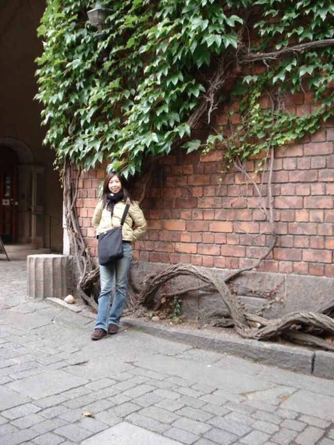 せっかくですから。