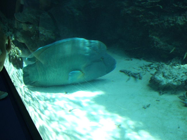 じーっとしてて、かわいかった。