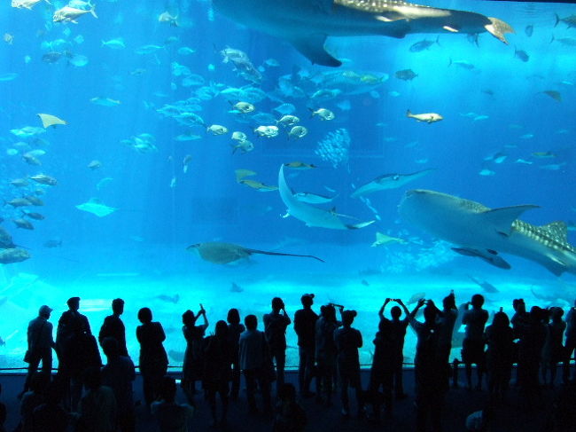 さすがゴールデンウィーク。<br />混んでます。<br /><br />去年（？）は、５月５日（子供無料の日）に来てしまい、相当混んでましたが、今回も負けず劣らず混んでました。