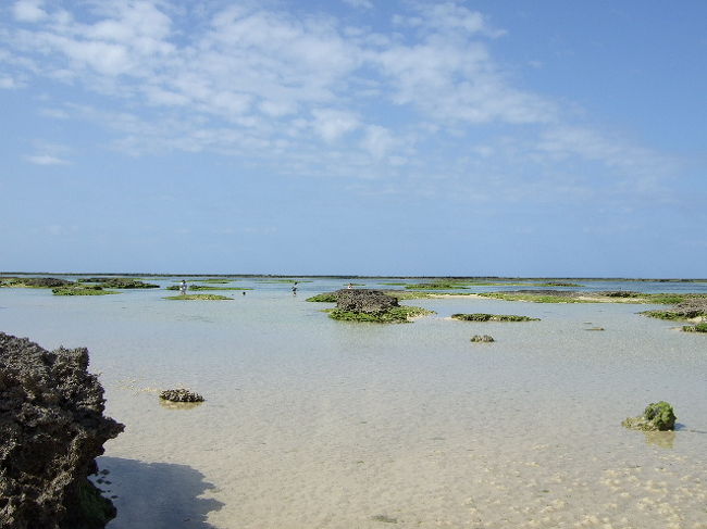 サイプレスリゾート前の海。<br />