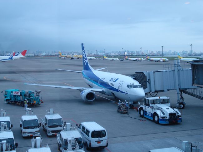 これから乗る飛行機<br /><br />小さいです