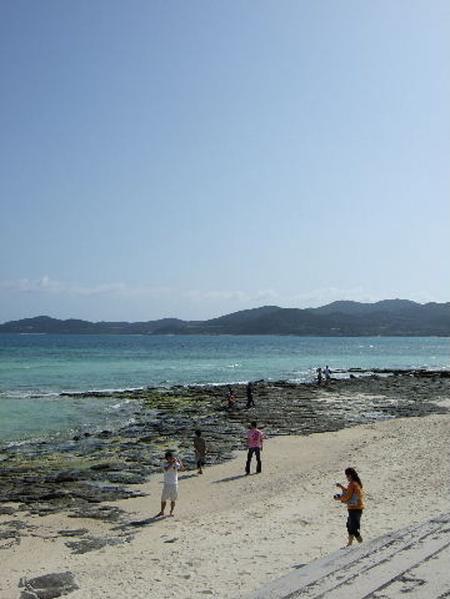 畳石。<br />がっかりすると聞いていましたが、私的にはそうでもなく。<br />ほほ〜、と見学しました。