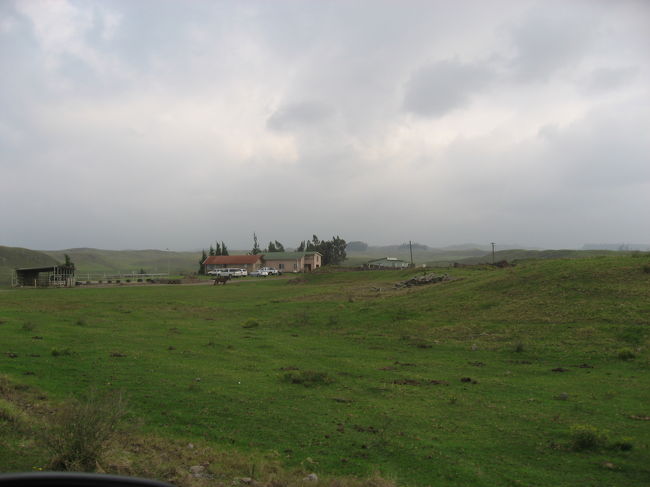 かたなに見えてきました。