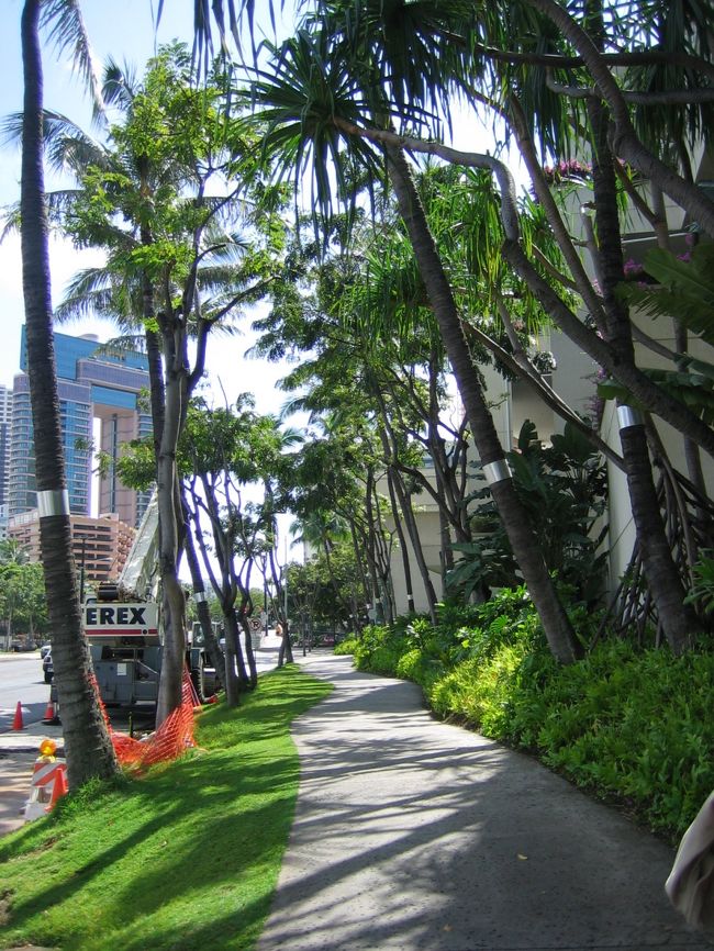 大満足のランチの後は<br /><br />『ホノルル散歩』スタートです♪<br />アラモアナセンターを出発！