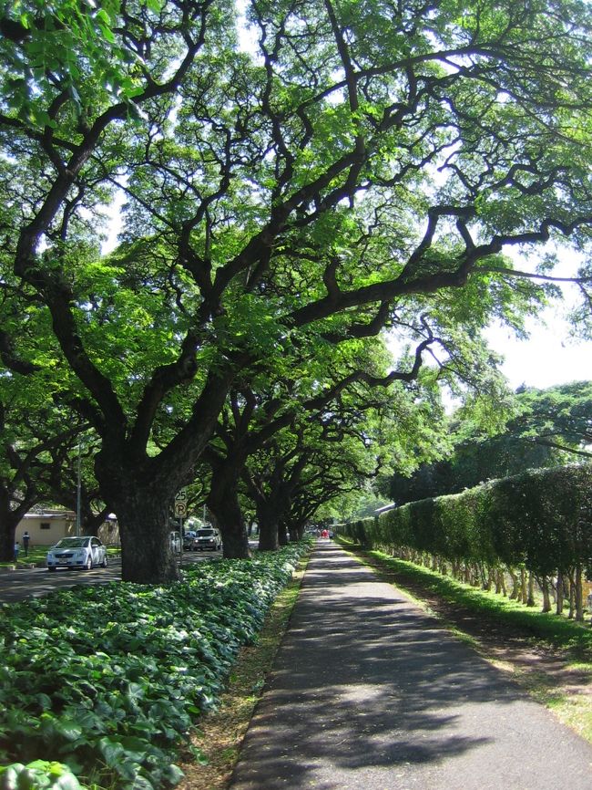 動物園のそばのこの涼しげな小道を抜けると・・・<br />（若干、動物たちのカオリが・・・笑）