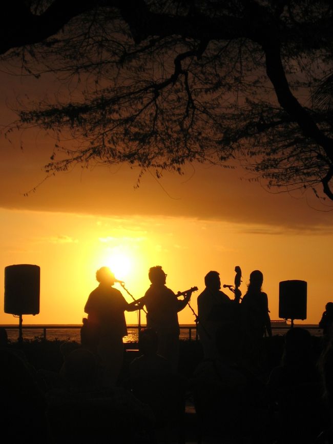 シルエットがきれい・・