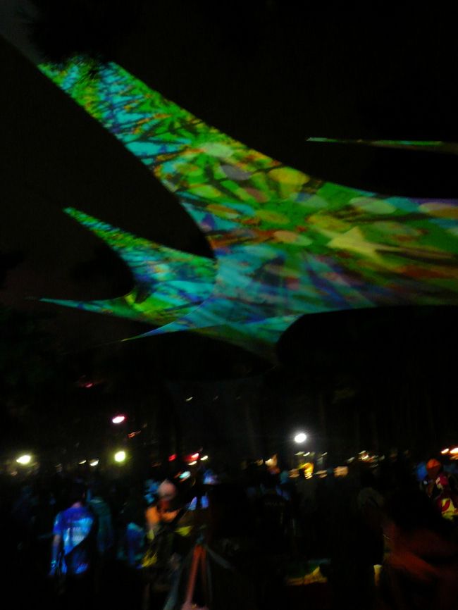 サウンドフォレスト入口の装飾は昼間は白かった布が夜になるとカラフルになっていました。