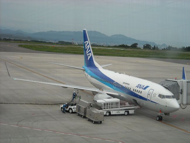 富士山静岡空港の飛行機を見物に行く！』牧之原(静岡県)の旅行記