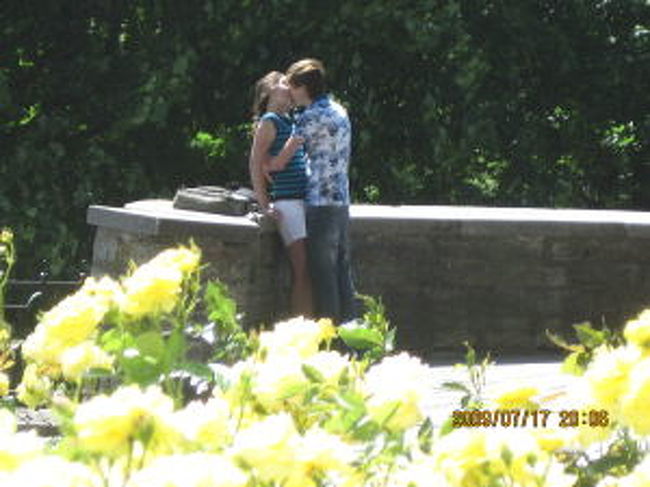 何て花だろうね?<br />この黄色い花・・きれいだろ?