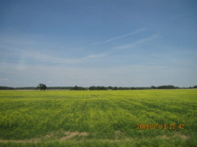 田園地帯を快走する高速バス