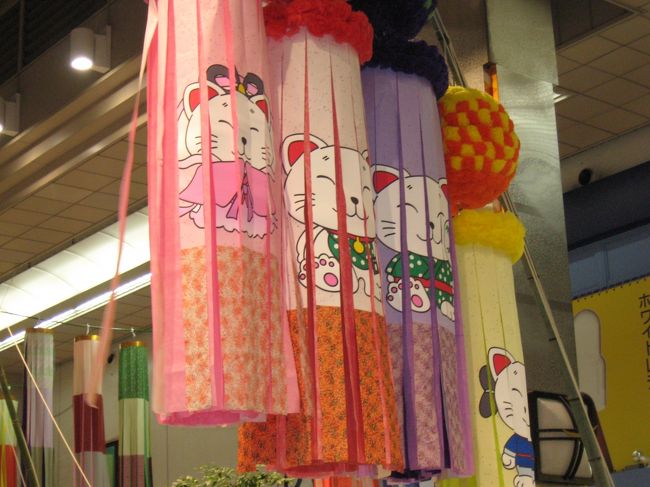 ネコの七夕飾り。