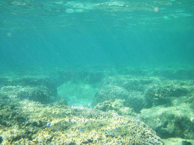 いつもより、少し濁っているような気がします。