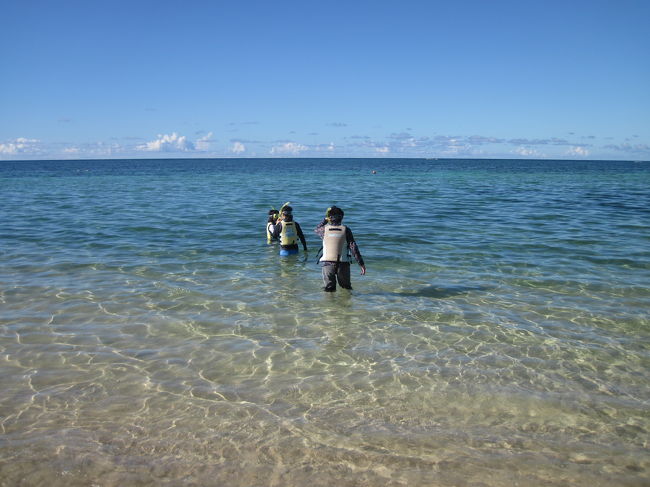 ウミガメを見に行くところ。