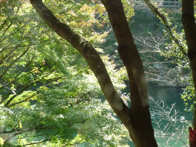 さあ！！トロッコの旅へ★<br /><br />嵯峨〜嵐山〜保津峡〜亀岡<br /><br />片道30分で大自然を味わえました！！<br />(片道600円)