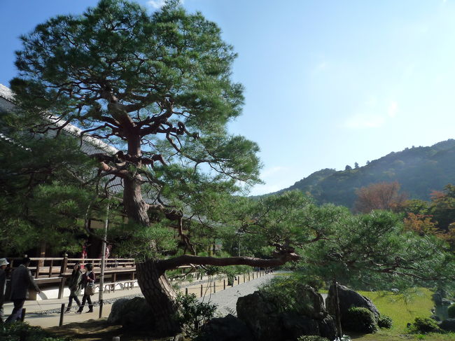 天竜寺<br /><br />足利尊氏が創建した臨済宗の大禅刹