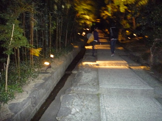 期間限定！！<br /><br />高台寺のライトアップ☆